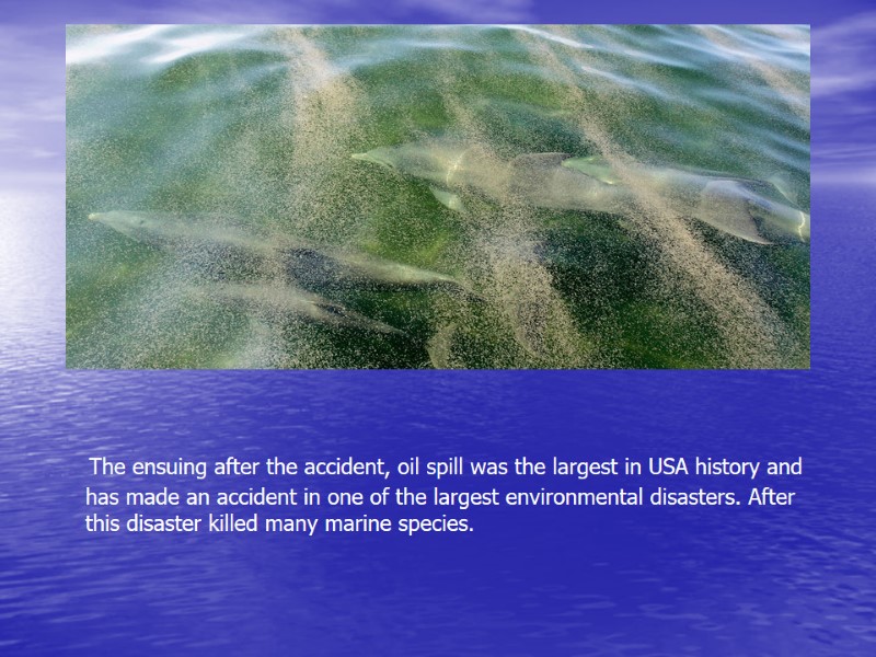 The ensuing after the accident, oil spill was the largest in USА history and